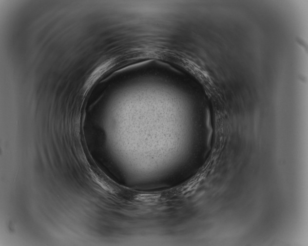 X0000094970051200712131504