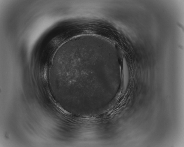 X0000094970052200712131504