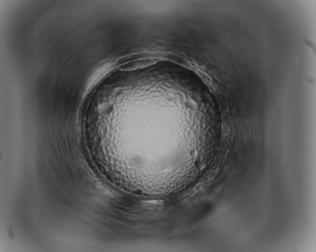 X0000094970053200712131504