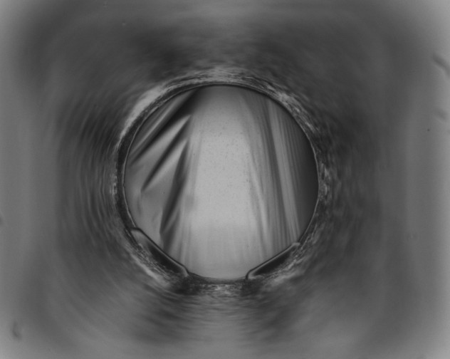 X0000094970056200712131504