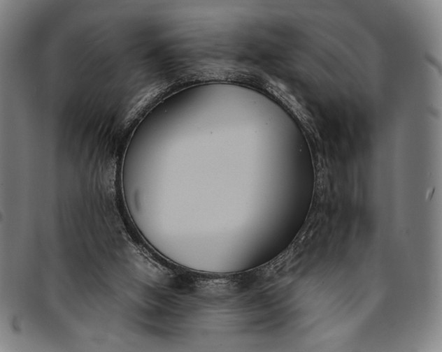 X0000094970058200712131504