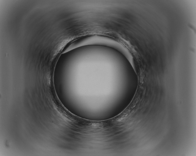 X0000094970060200712131504