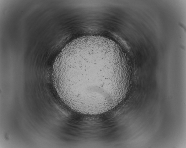 X0000094970065200712131504