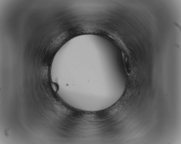 X0000094970066200712131504