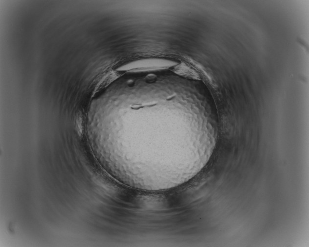 X0000094970069200712131504