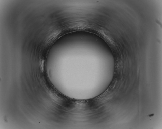 X0000094970070200712131504