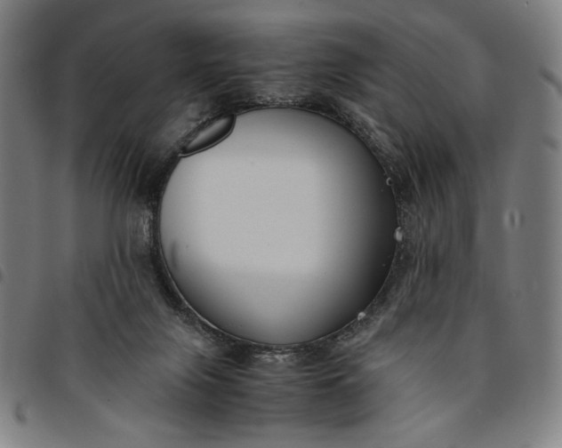 X0000094970071200712131504