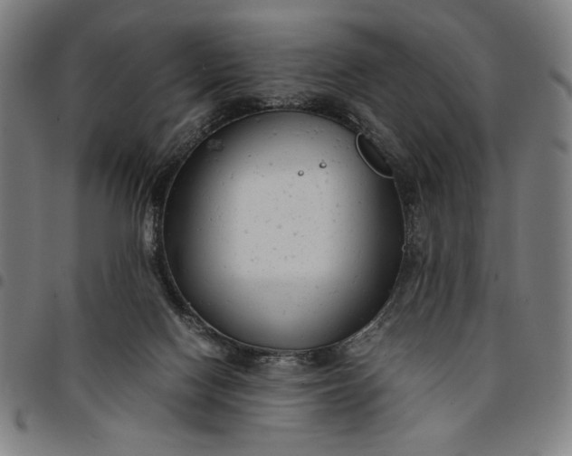 X0000094970074200712131504