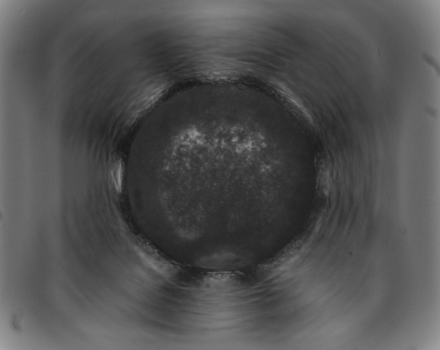 X0000094970076200712131504