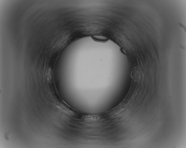 X0000094970077200712131504