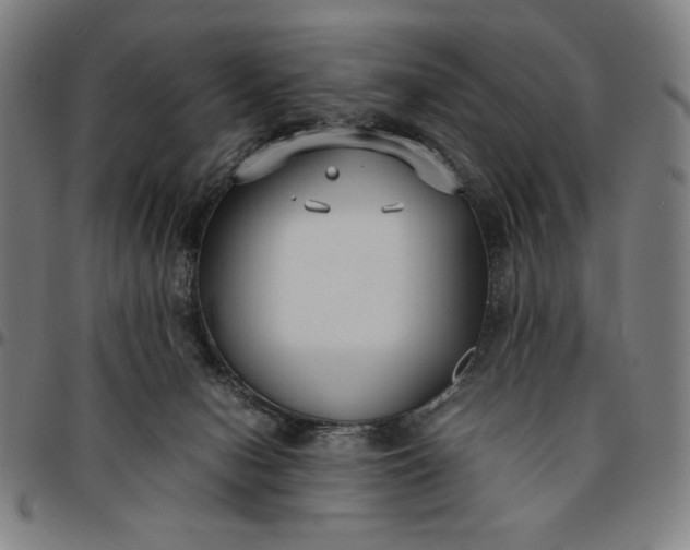 X0000094970078200712131504