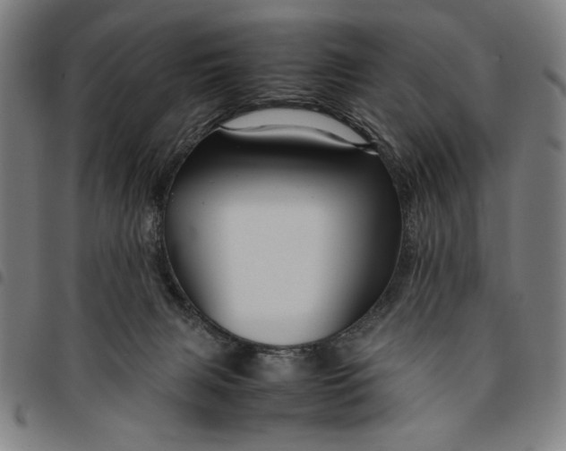 X0000094970079200712131504