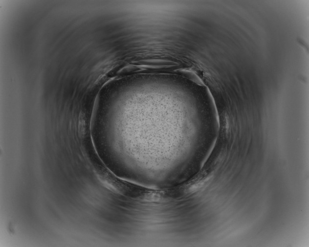 X0000094970080200712131505