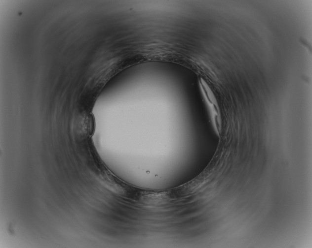 X0000094970081200712131505