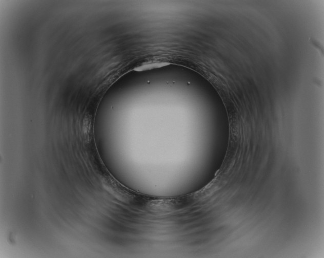 X0000094970082200712131505