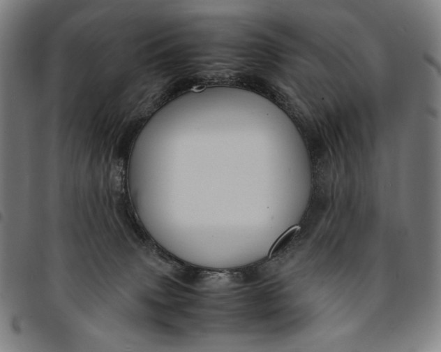 X0000094970083200712131505