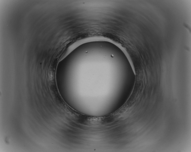 X0000094970084200712131505