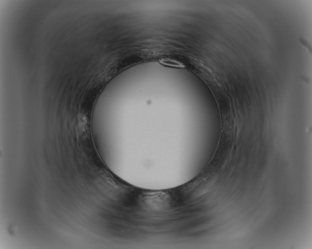 X0000094970087200712131505