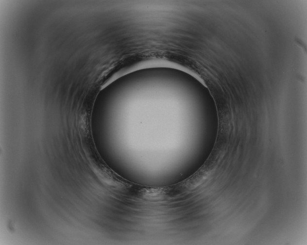 X0000094970088200712131505