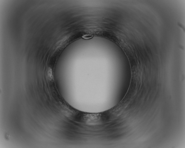 X0000094970089200712131505