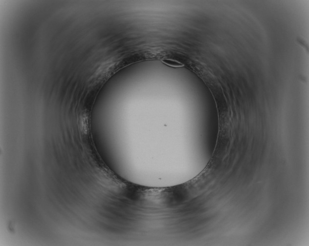 X0000094970090200712131505