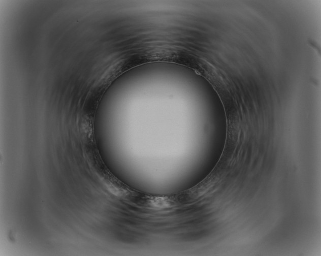 X0000094970091200712131505