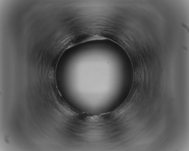 X0000094970092200712131505