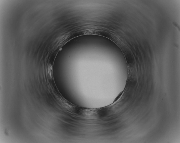 X0000094970094200712131505