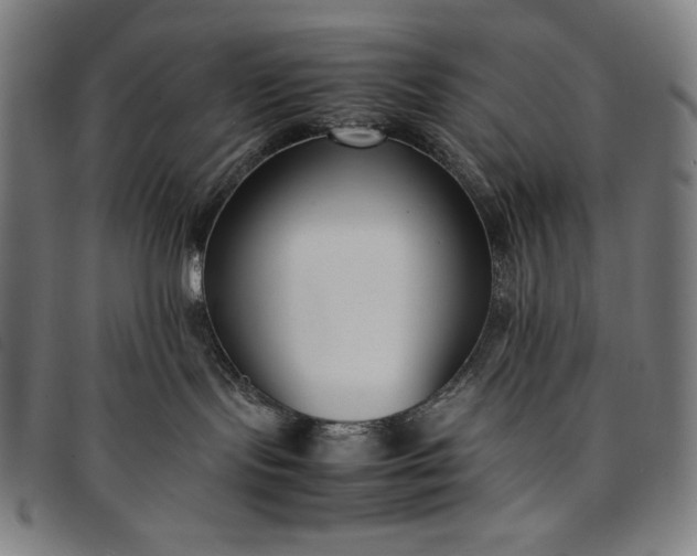 X0000094970095200712131505