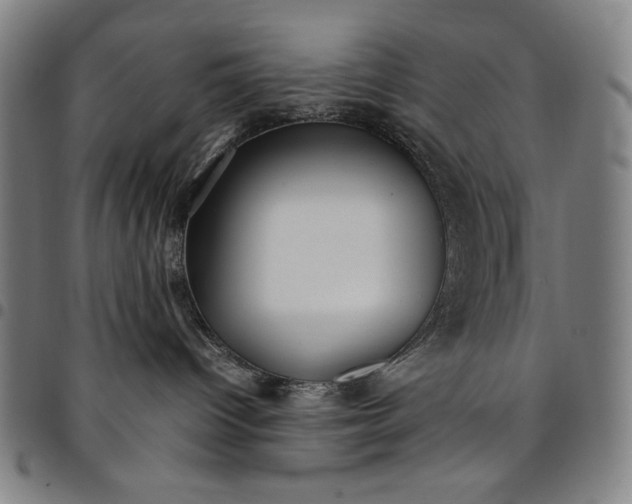 X0000094970096200712131505