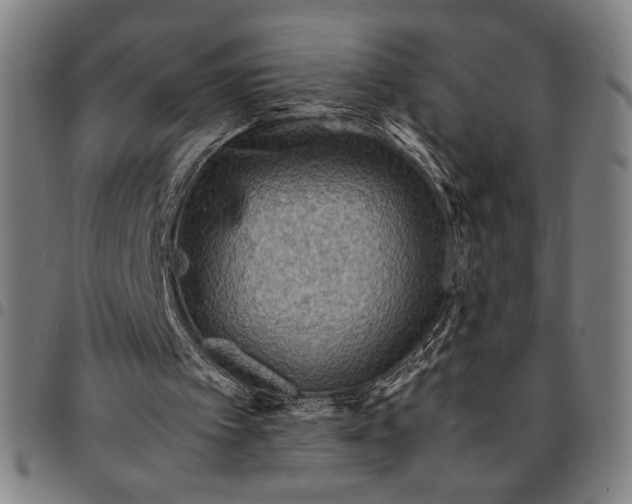 X0000094970097200712131504