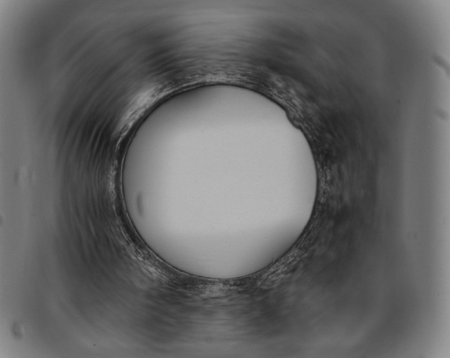 X0000094970098200712131504