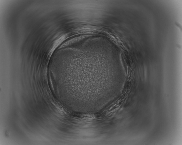 X0000094970099200712131504