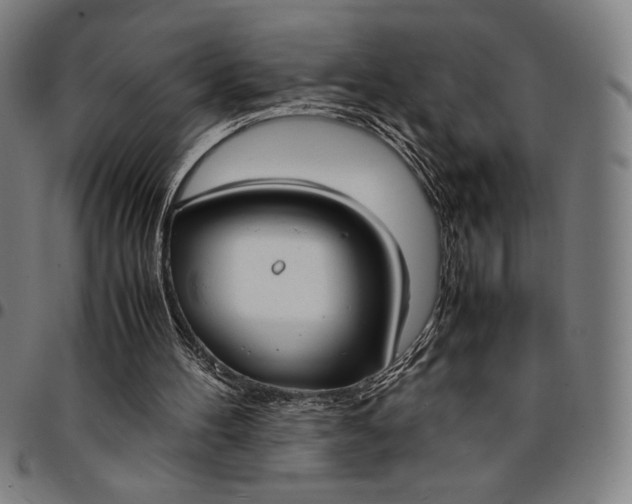 X0000094970100200712131504