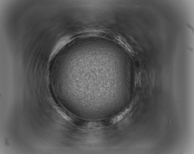 X0000094970101200712131504