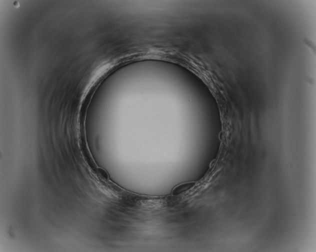 X0000094970102200712131504