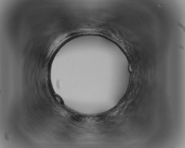 X0000094970103200712131504