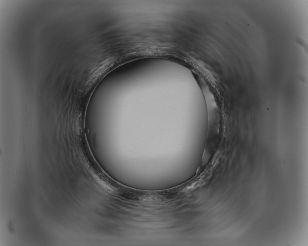 X0000094970105200712131504