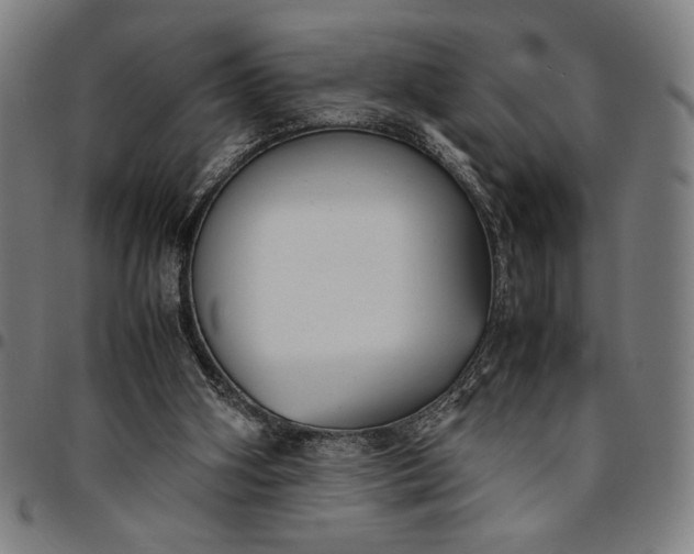 X0000094970106200712131504