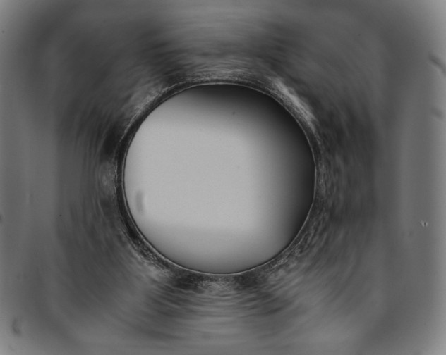 X0000094970107200712131504