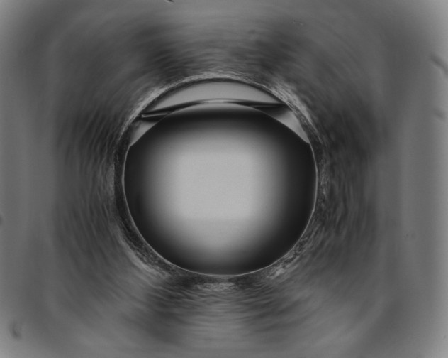 X0000094970108200712131504