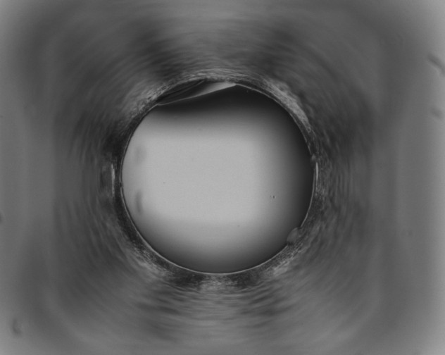 X0000094970109200712131504