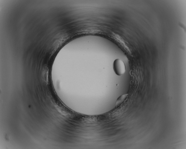 X0000094970110200712131504