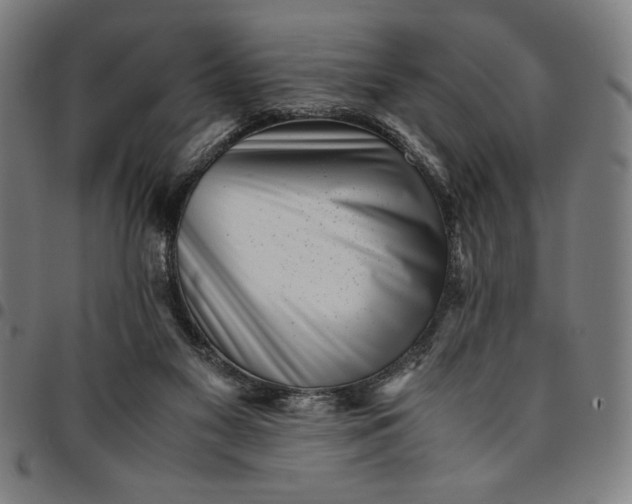 X0000094970117200712131503