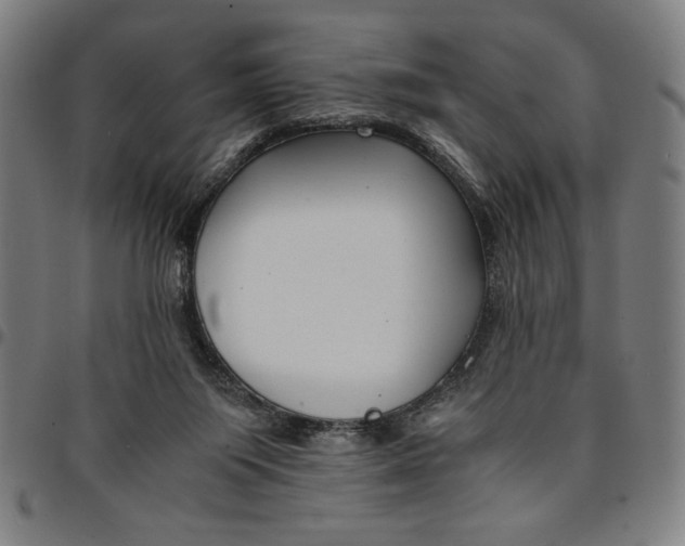 X0000094970119200712131503