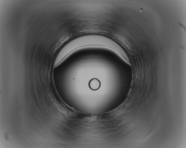 X0000094970120200712131503