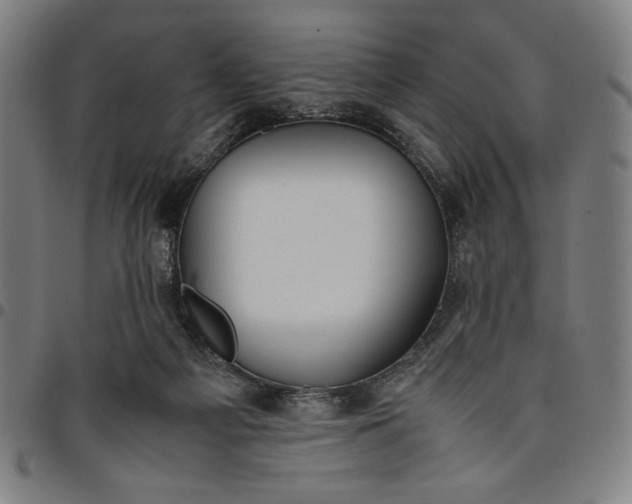 X0000094970121200712131503