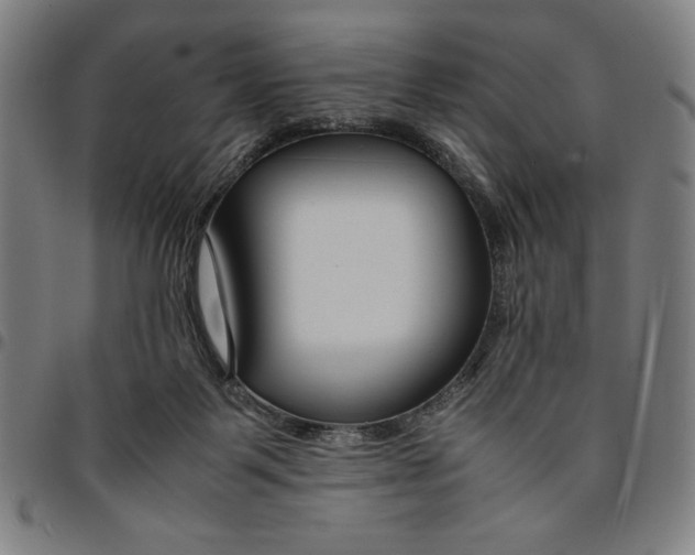 X0000094970123200712131503