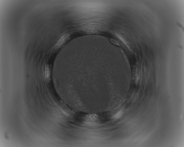 X0000094970124200712131503