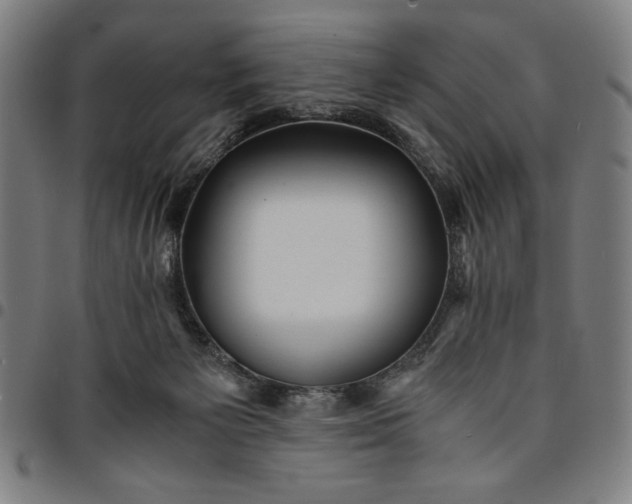 X0000094970125200712131503